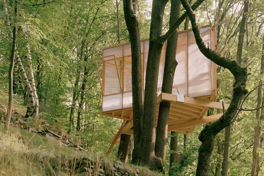 Cabane d’écriture nichée dans les arbres