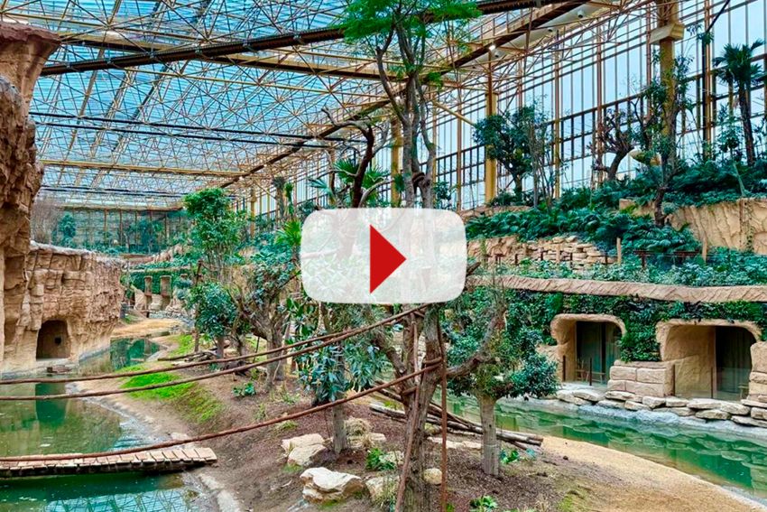 Un nouvel univers tropical