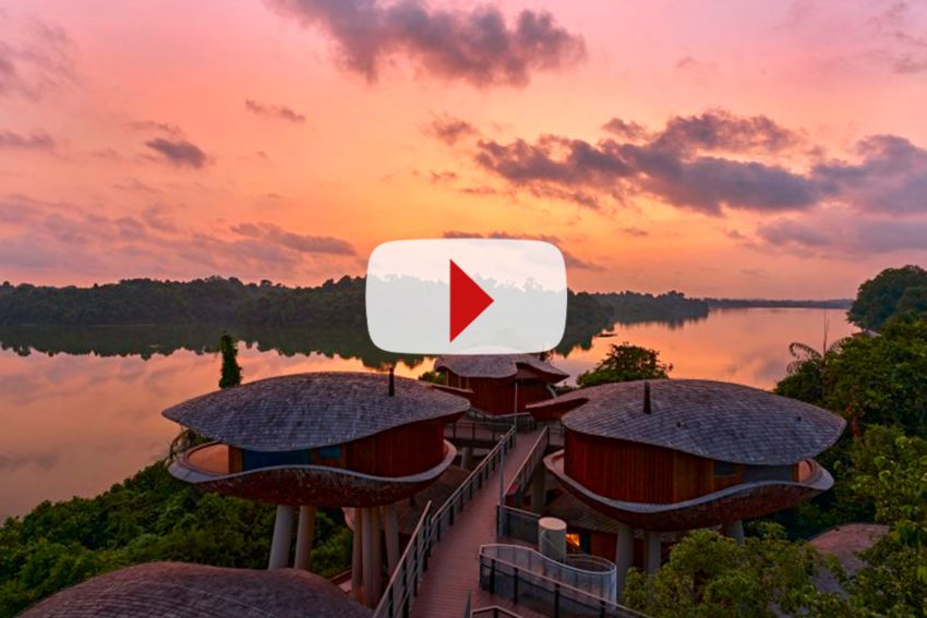 Architecture biophilique